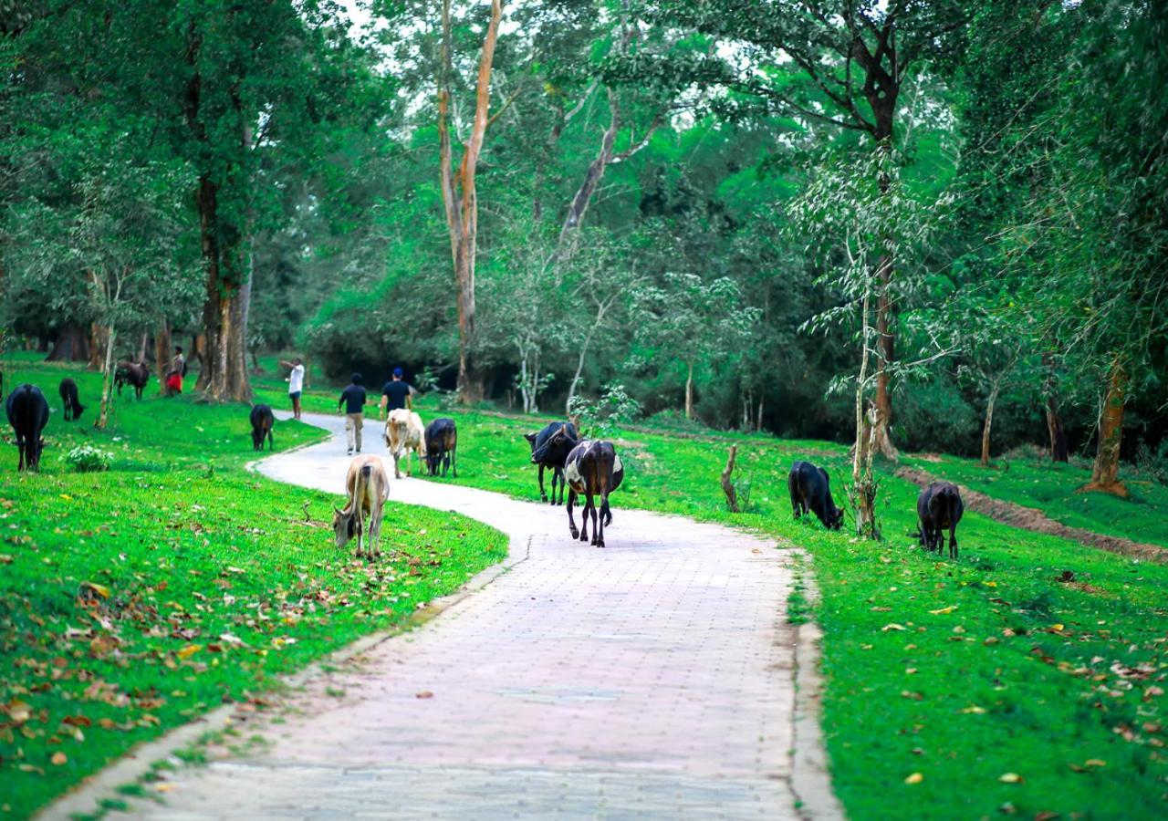 Tusker Inn Wayanad Forest Villa By Voye Homes Buitenkant foto