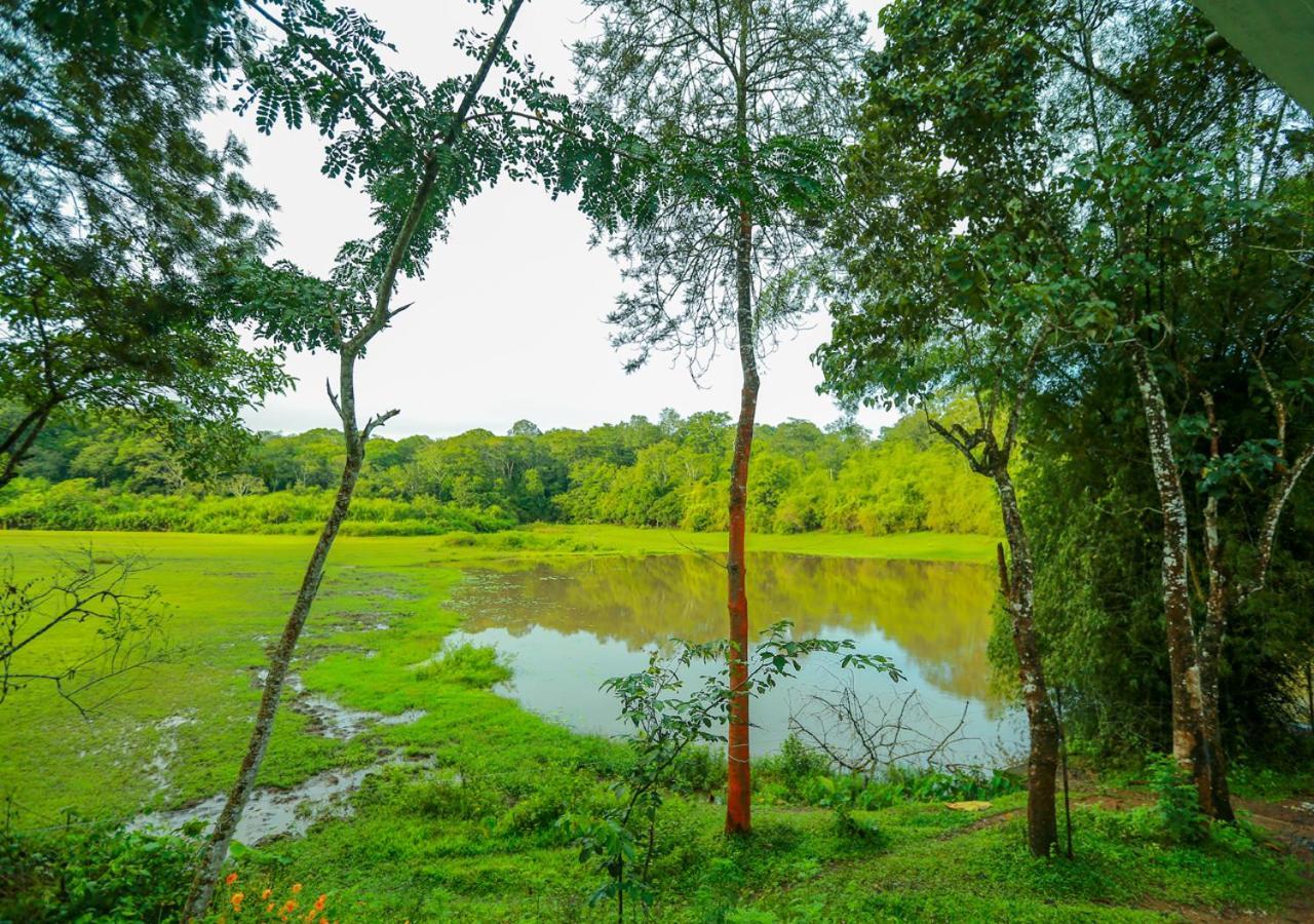 Tusker Inn Wayanad Forest Villa By Voye Homes Buitenkant foto